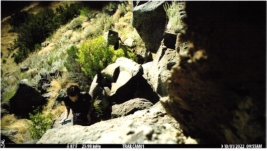 Hombre de Santa Fe sentenciado a libertad condicional y multa por vandalizar petroglifos antiguos en La Cieneguilla