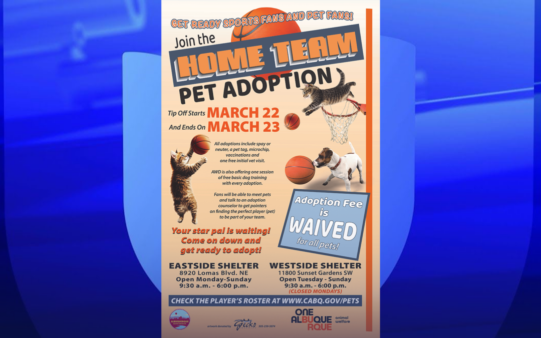 Viajes Navideños: Preparación y Seguridad en la Carretera