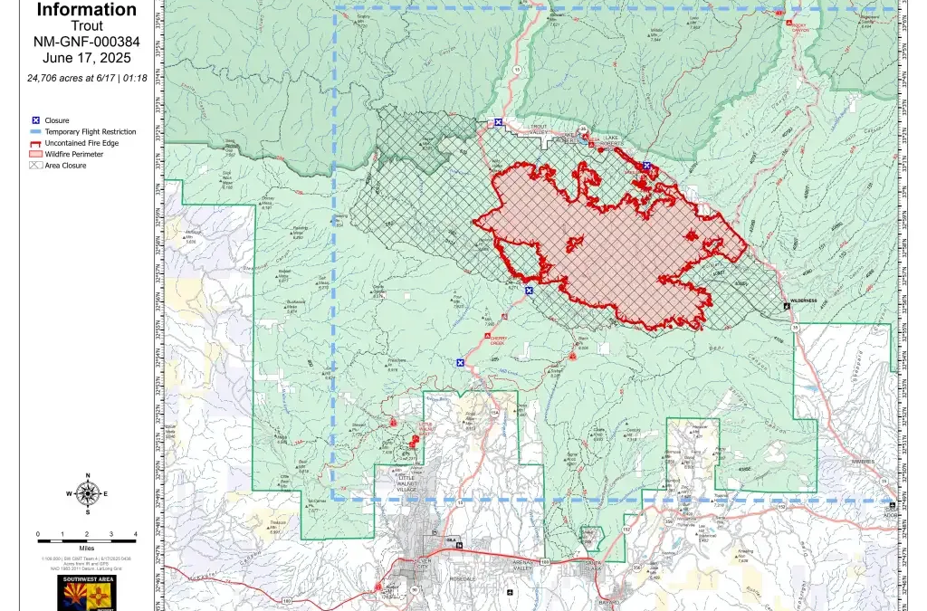 Gobernadora de Nuevo México declará estado de emergencia por incendio en el bosque Gila