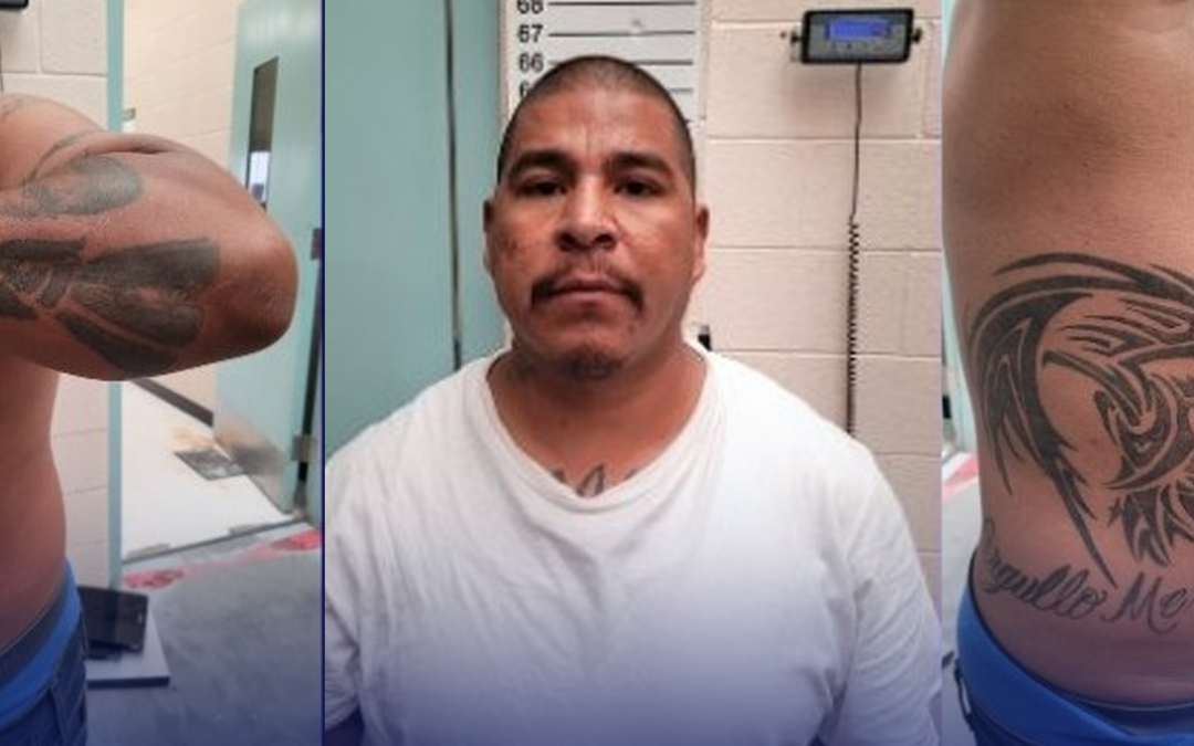 Detiene la Patrulla Fronteriza a miembro de “Los Paisas” en Sunland Park