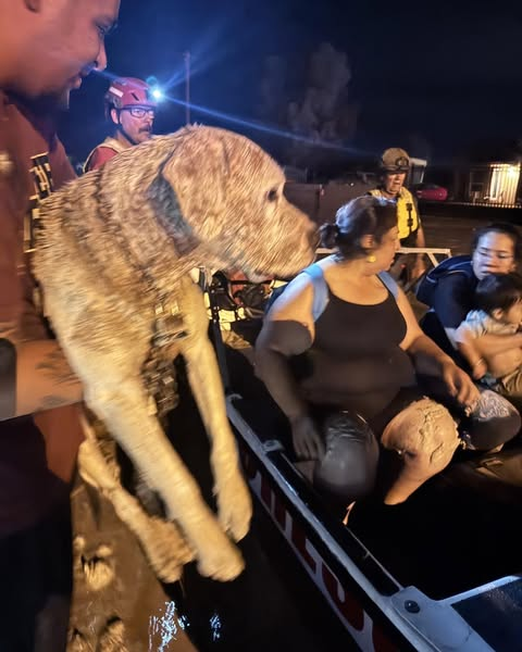 Comienzan operativos de búsqueda tras severas inundaciones en Vado