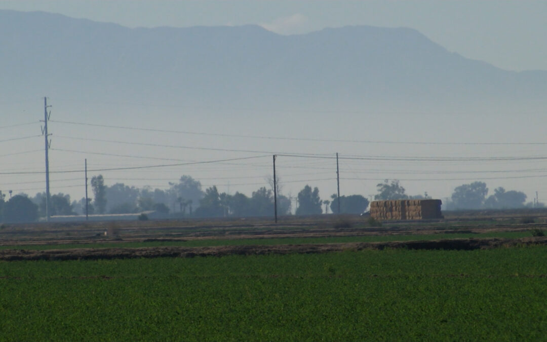 Evite las fogatas: Aumento de la contaminación en las fiestas de fin de año en Mexicali