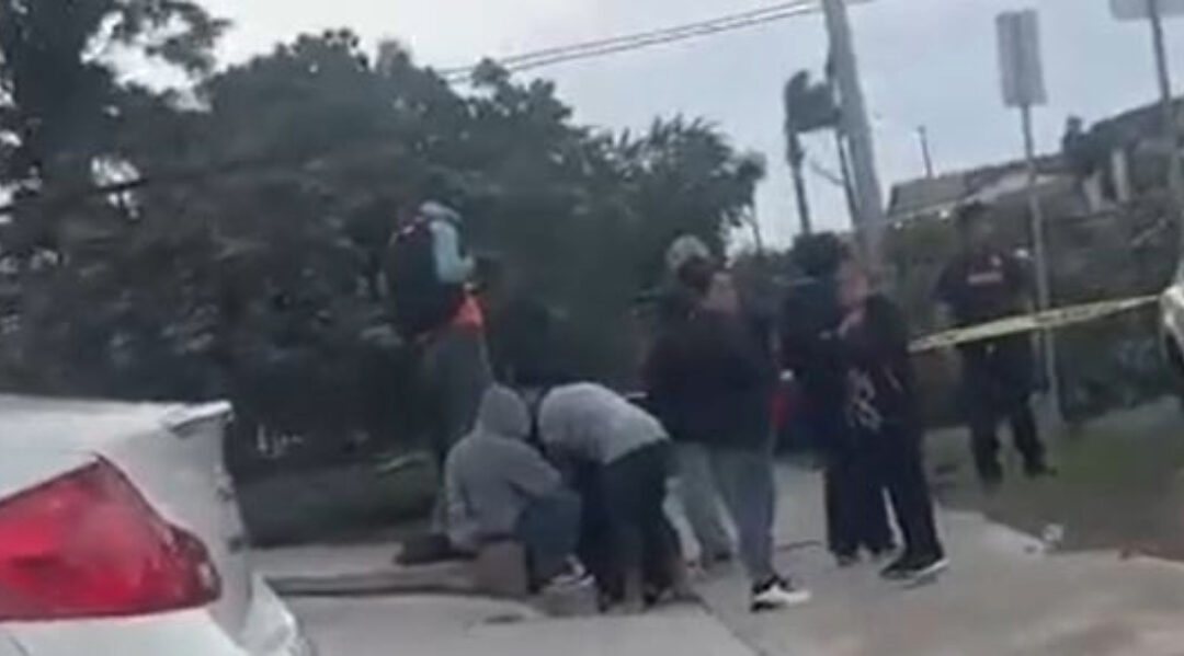 Tragedia: Hombre muere tras caída de árbol en City Heights