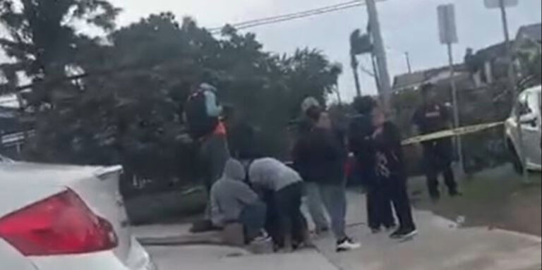 Tragedia: Hombre muere tras caída de árbol en City Heights