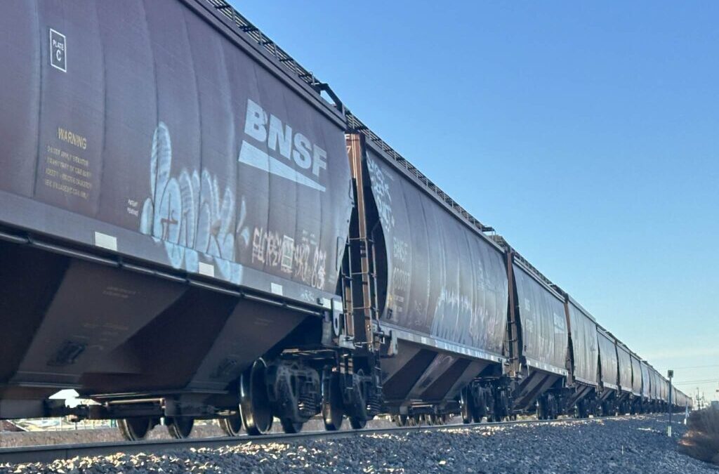 Identifican a hombre fallecido tras ser atropellado por un tren en Las Cruces