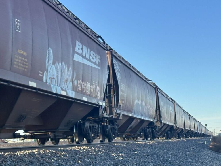 Identifican a hombre fallecido tras ser atropellado por un tren en Las Cruces
