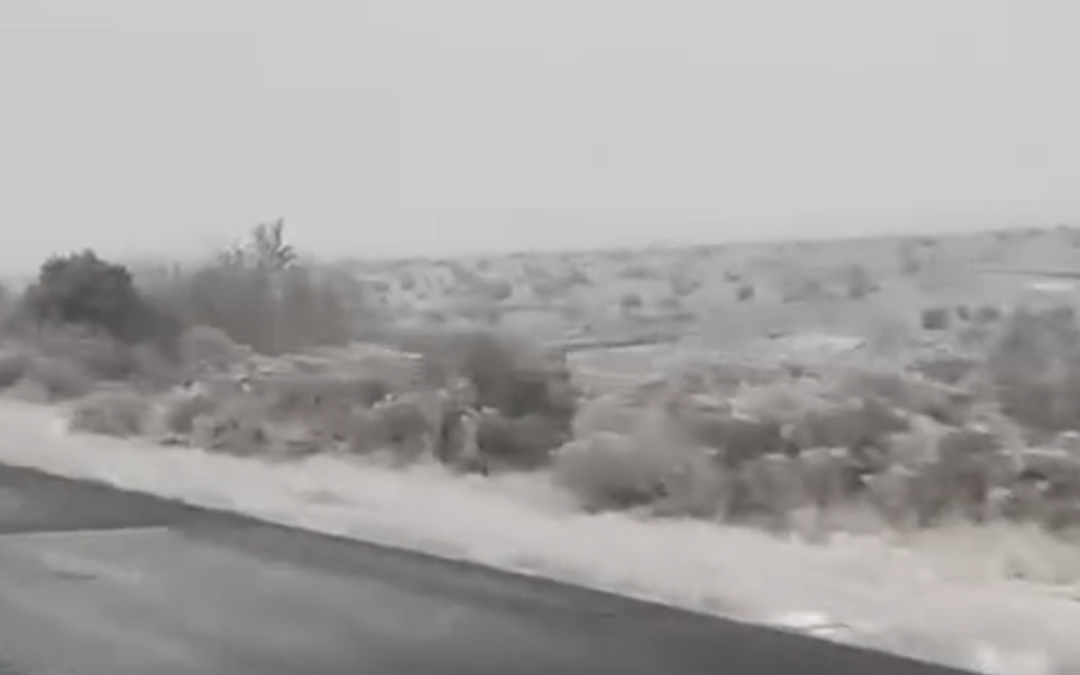 Varias escuelas en Nuevo México presentan varios retrasos y cierres por nieve en la región