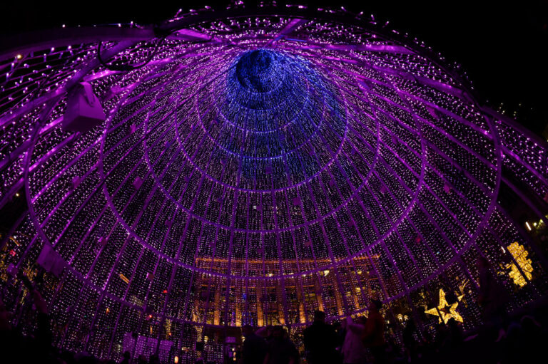 Luces Navideñas en Denver: Una Tradición que Perdura Hasta el National Western Stock Show
