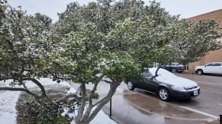 Nieve en el Permian Basin: Autoridades Piden Precauciones ante Condiciones Invernales
