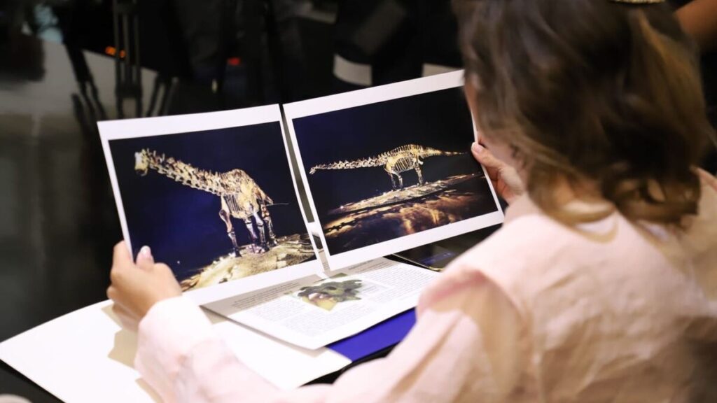 Fósil ‘Einstein’ es un préstamo, no una donación, confirma San Pedro Garza García