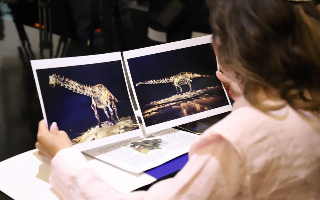 Fósil ‘Einstein’ es un préstamo, no una donación, confirma San Pedro Garza García