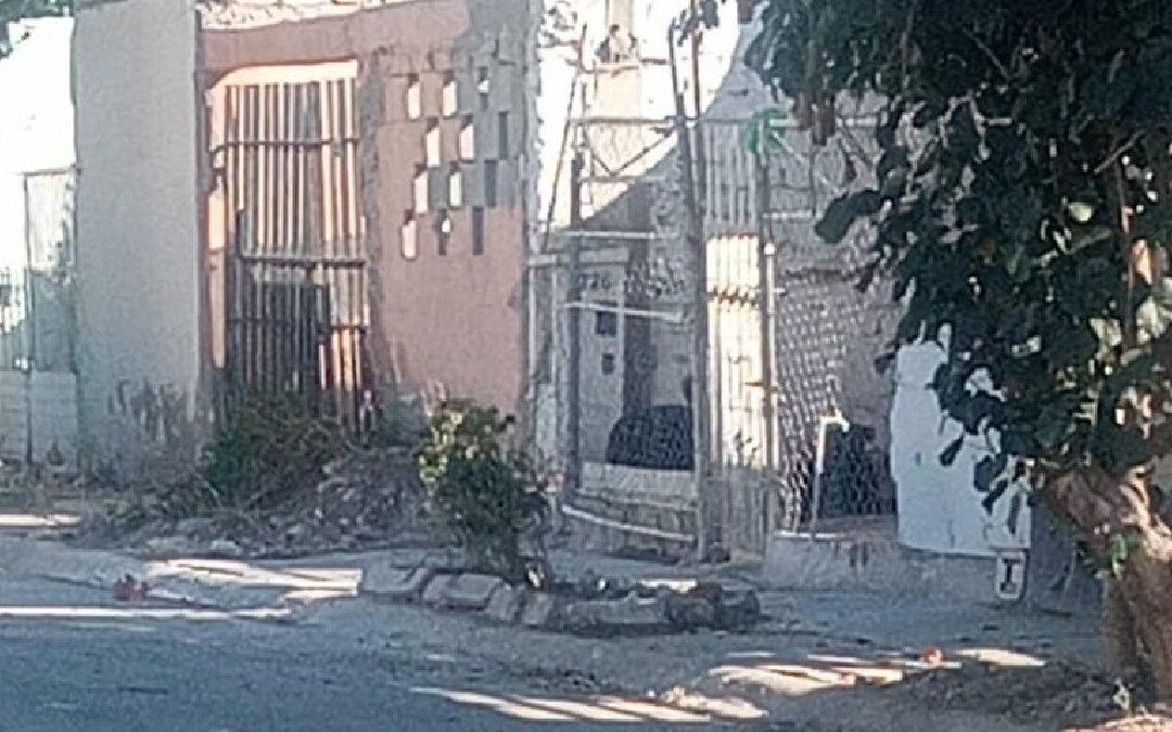 Alerta en Quintas los Nogales: Perros Agresivos y Abandono de Espacios Públicos en Torreón