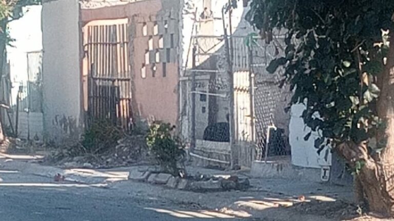 Alerta en Quintas los Nogales: Perros Agresivos y Abandono de Espacios Públicos en Torreón