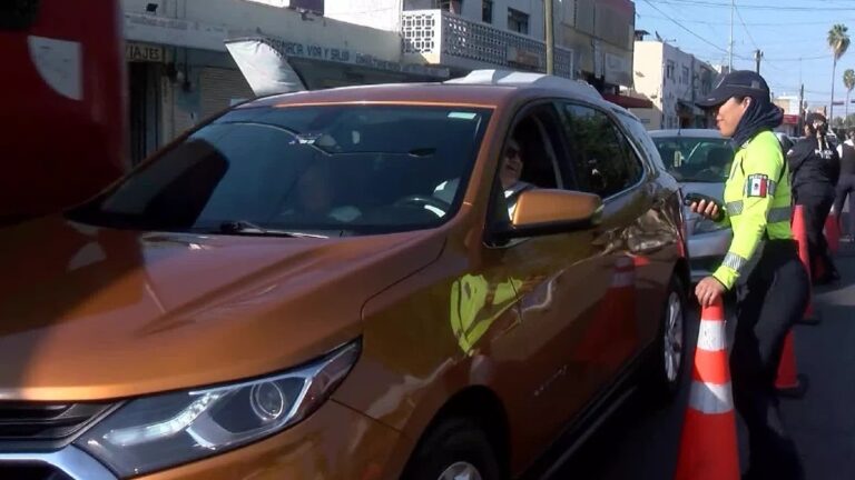 Menú para Conductores: Detenidos en el CURVA Durante el Año Nuevo 2026 en Guadalajara