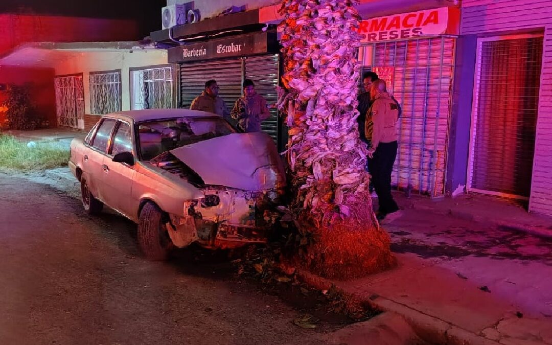 Accidente Automovilístico en Torreón: Menores de Edad Estrellan un Vehículo Contra una Palma