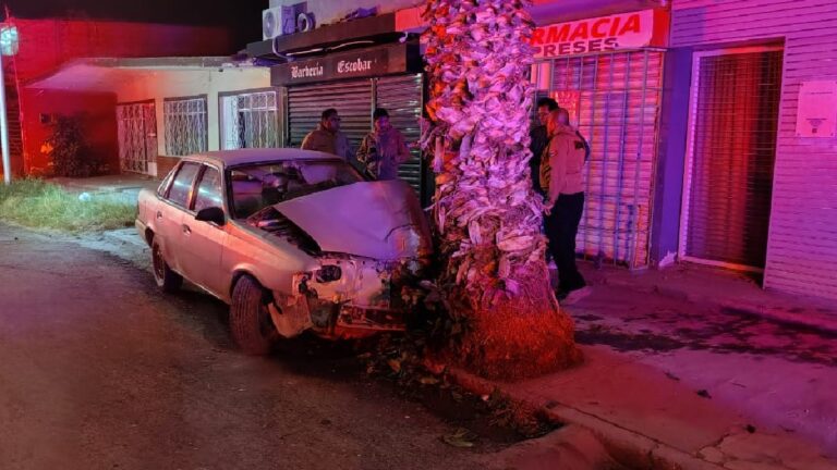 Accidente Automovilístico en Torreón: Menores de Edad Estrellan un Vehículo Contra una Palma