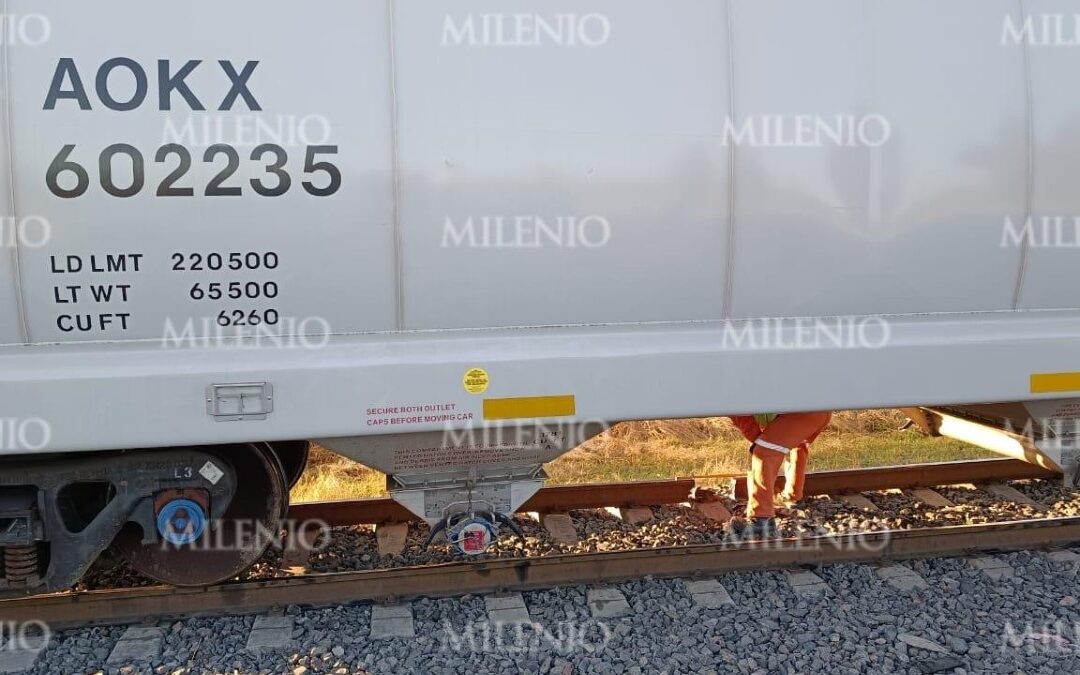 Cártel Santa Rosa de Lima Intenta Sabotear un Tren en Cortazar: Robo y Seguridad en la Mira