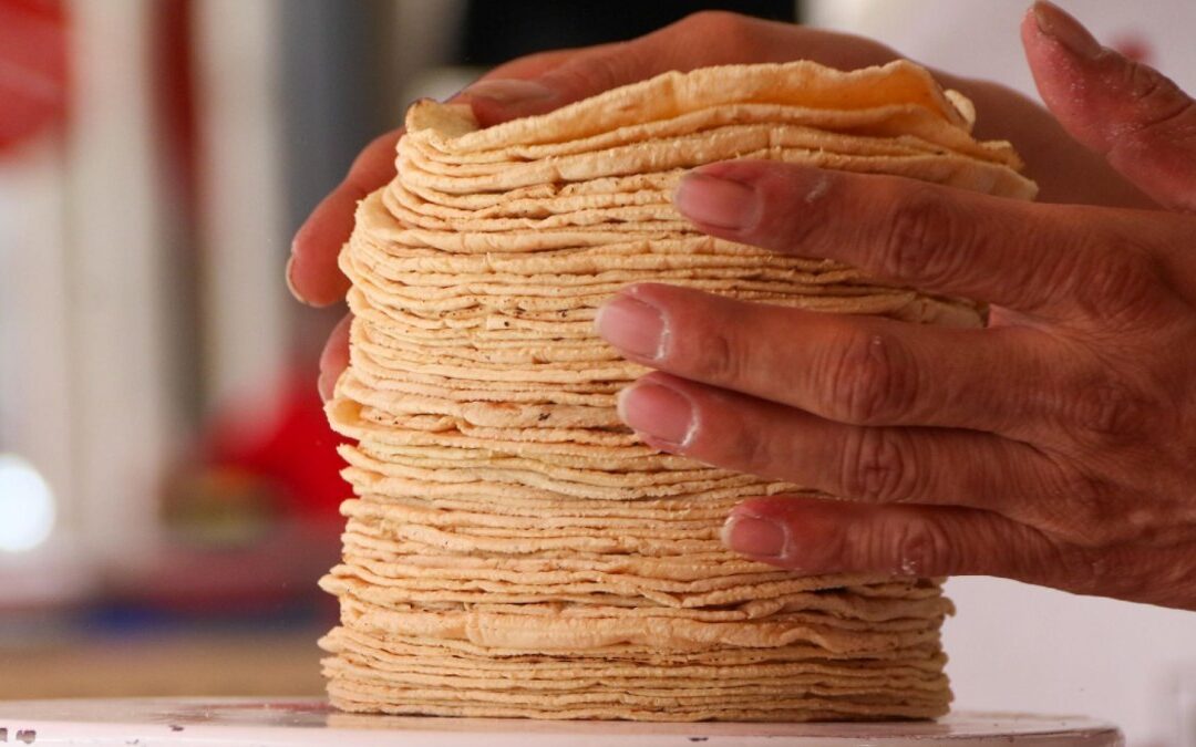 Precios de la Tortilla y Gasolina en Puebla al Comienzo de 2026: Un Análisis Completo