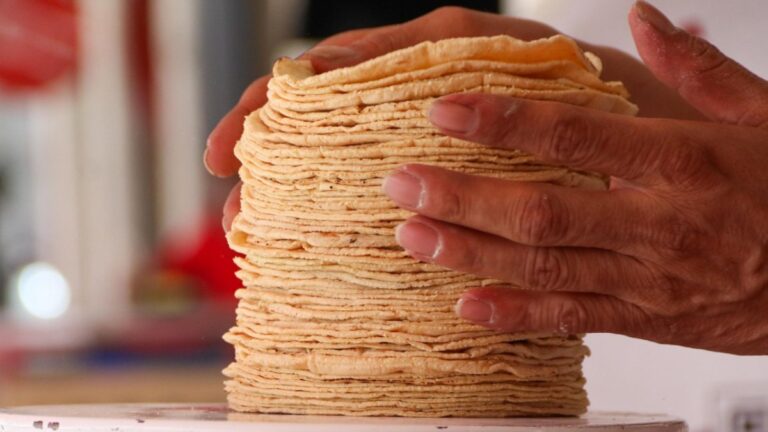 Precios de la Tortilla y Gasolina en Puebla al Comienzo de 2026: Un Análisis Completo