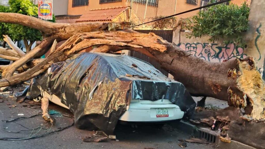 Sismo en Guerrero: Más de 30 inmuebles afectados en CdMx, dos en riesgo de colapso