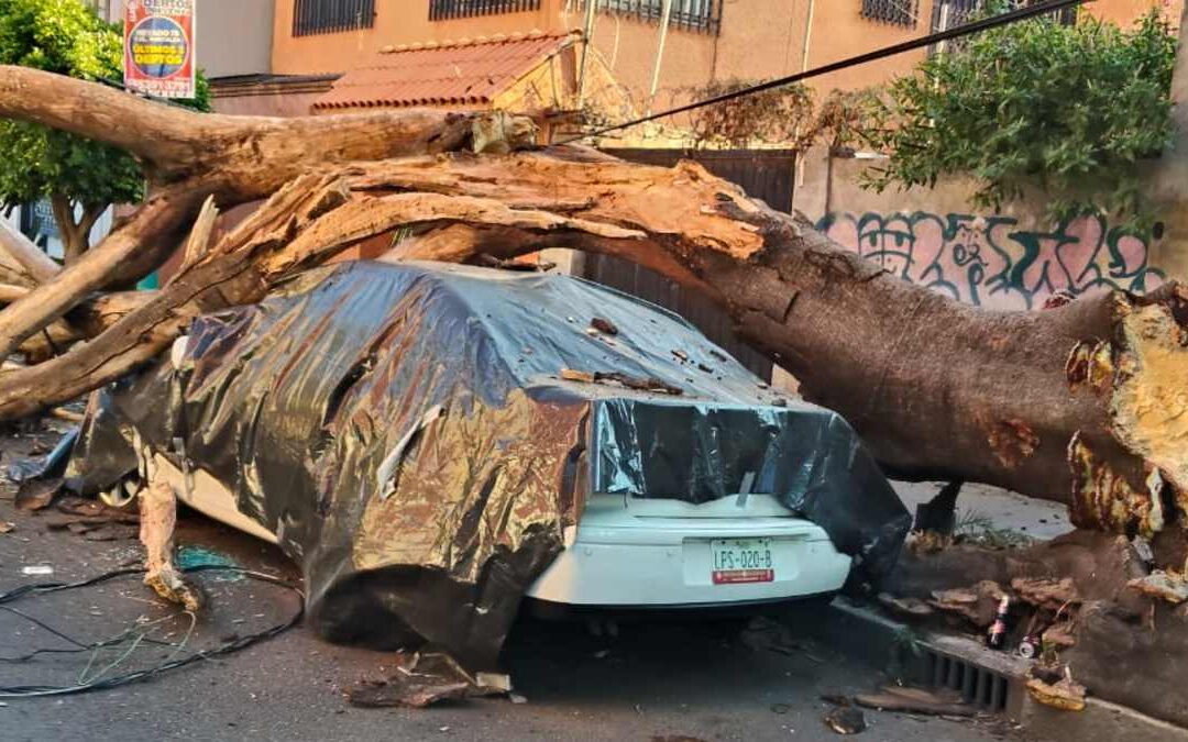 Sismo en Guerrero: Más de 30 inmuebles afectados en CdMx, dos en riesgo de colapso