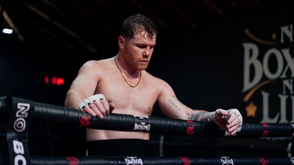 Todo lo que necesitas saber sobre el boxeo profesional en 2026: reglas, títulos y referentes