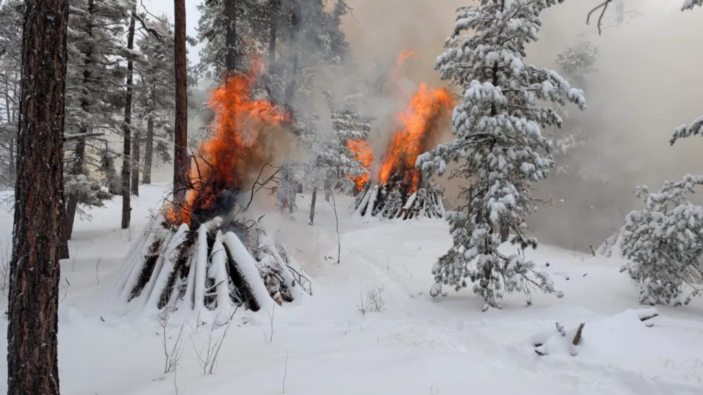 Bosque Nacional de Santa Fe continúa trabajos de prevención de incendios