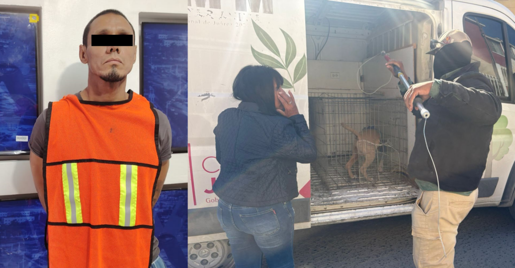 Detenido por Maltrato Animal: Rescatan a Perro Agredido en Ciudad Juárez