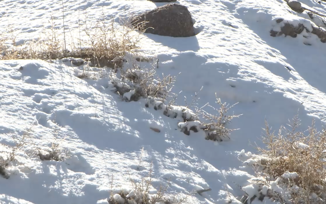 Tormenta invernal en Albuquerque provoca accidentes y personas lesionadas