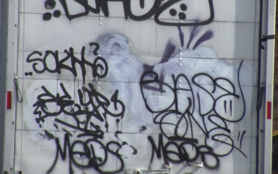 Vandalismo en Reno: Oleada de Ataques Destruye Parques Públicos