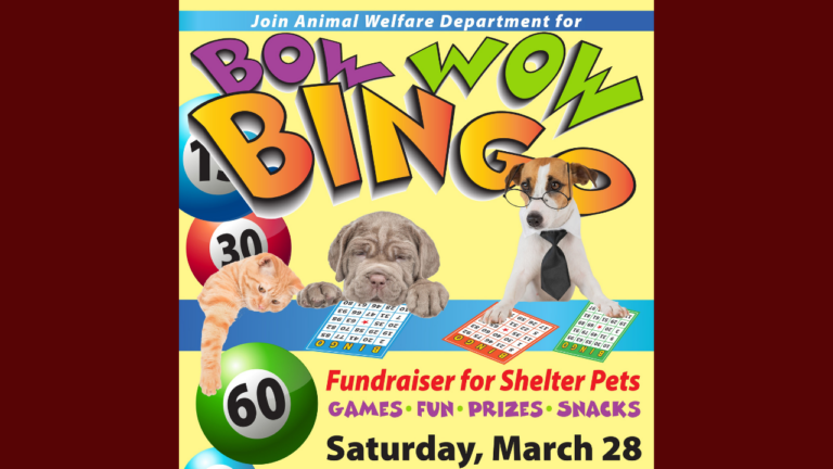 La ciudad de Albuquerque realizará evento “Bow Wow Bingo” para recaudar fondos para mascotas de refugio