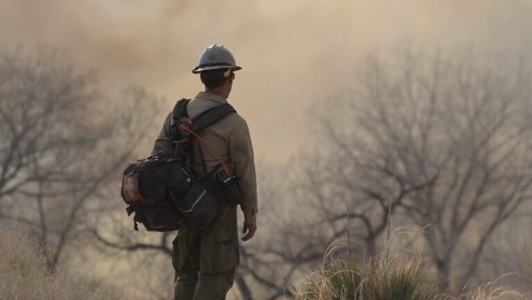 Actualización del incendio Unified en Valencia County: 0% contenido, se desconoce la causa del fuego