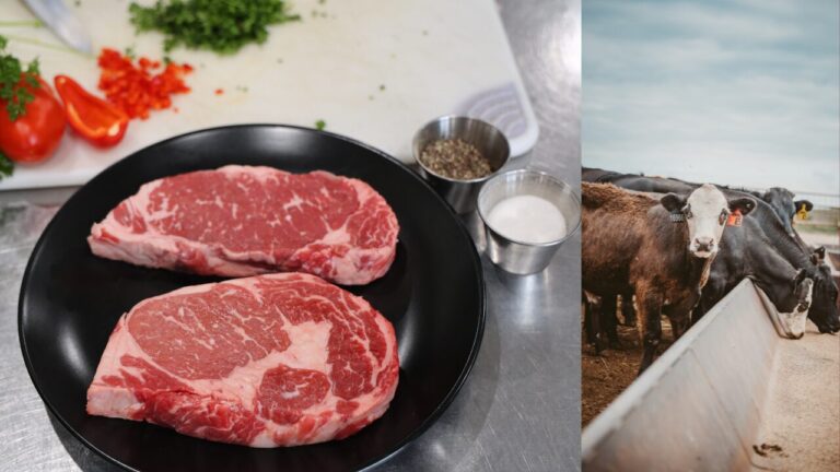 Nuevo México abre subvenciones de hasta $3 millones para procesadores de carne