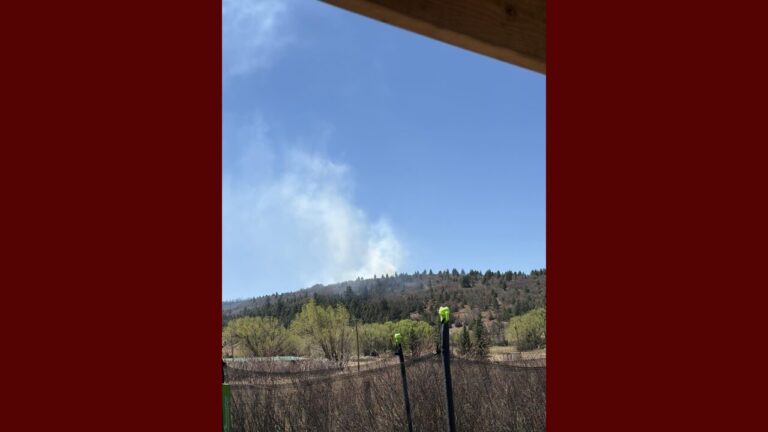 Incendio forestal en el Condado de Mora provoca cierre de carretera en zona de Collins Lake