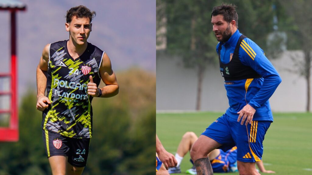 Necaxa vs Tigres en Vivo: Horario y Dónde Ver el Partido de la Jornada ...