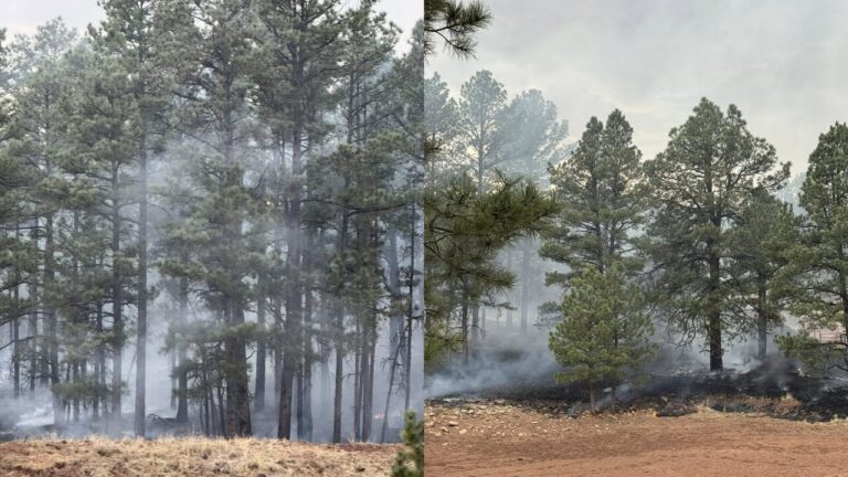 Incendio forestal en el Condado de Mora provoca cierre de carretera y alerta preventiva a residentes
