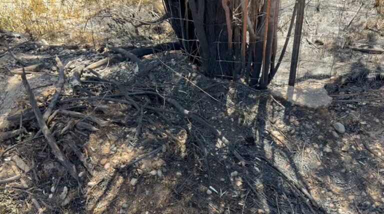 Incendio “Riverside Fire” avanza hacia su control: 60% contenido y evacuan a familias de regreso a casa