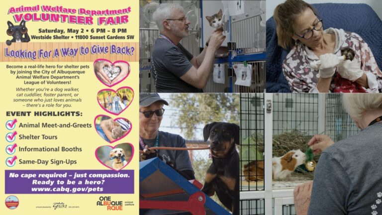 Feria de voluntariado en Albuquerque ofrece oportunidades para ayudar a mascotas en refugio