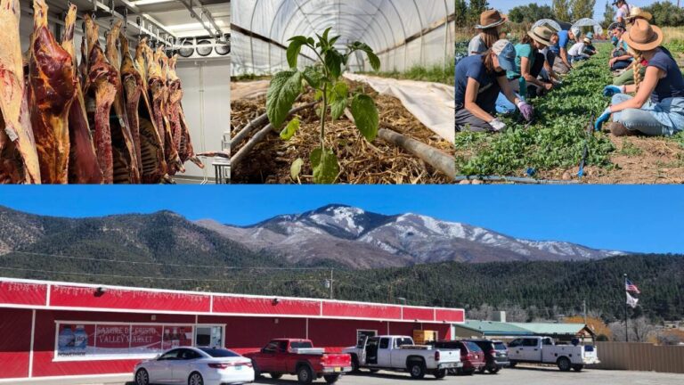 Nuevo México invierte 1.6 millones de dólares para fortalecer sistemas alimentarios locales