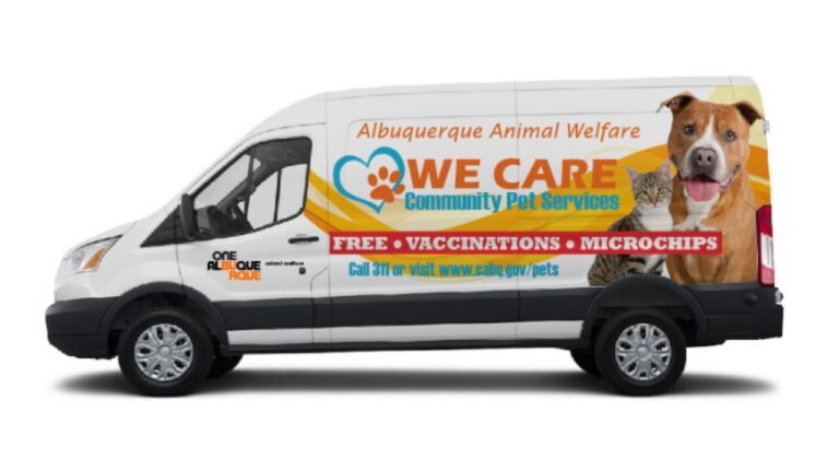 Ciudad de Albuquerque lanza campaña para promover esterilización obligatoria de mascotas