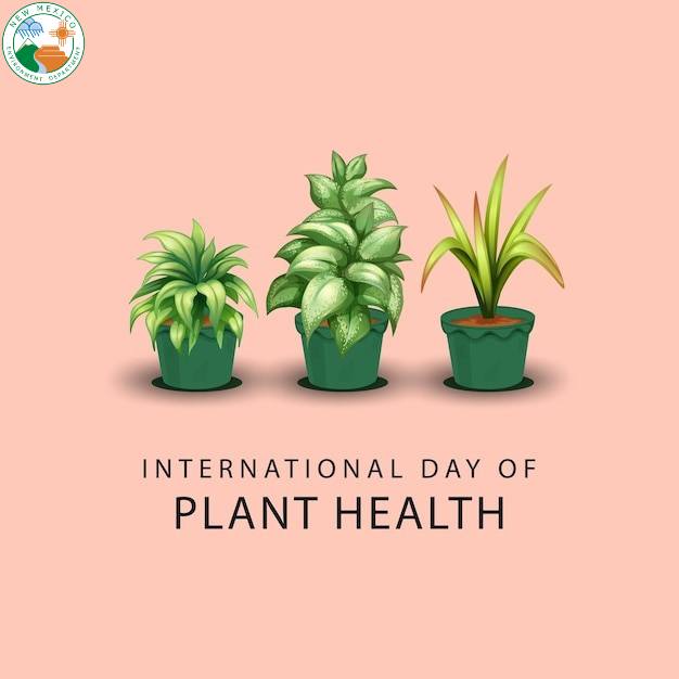 Día Internacional de la Salud de las Plantas: Nuevo México refuerza la protección ambiental y la seguridad alimentaria