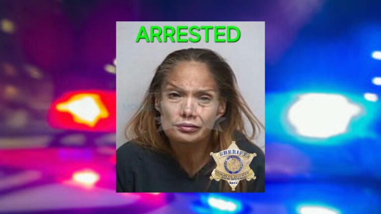Arrestan a mujer por robo en tienda del Humane Society y posesión de metanfetamina en Roswell