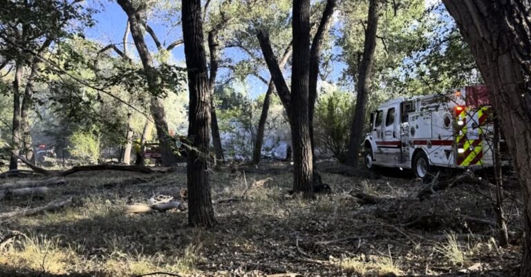 Bomberos de Albuquerque controlan incendio en zona del bosque cerca de Alcalde Place y Tingley Drive