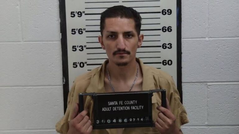 Arrestan a hombre en Santa Fe tras ser detectado en un auto robado gracias a lector automático de placas